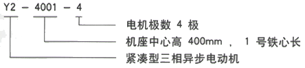 YR系列(H355-1000)高压YRKK5602-8/630KW三相异步电机西安西玛电机型号说明